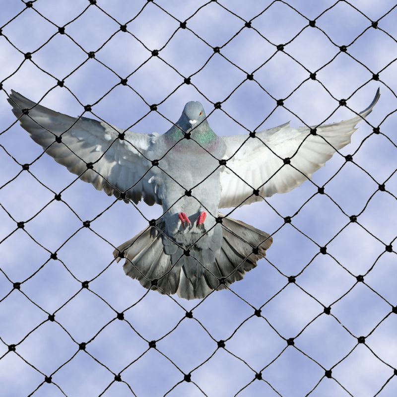 Pigeon Mesh Netting - 10m x 5m