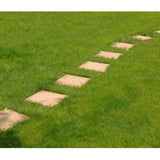 Hard Wearing Grass Seed - 1 kg