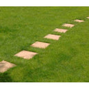 Hard Wearing Grass Seed - 1 kg