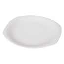 Dinner Plate